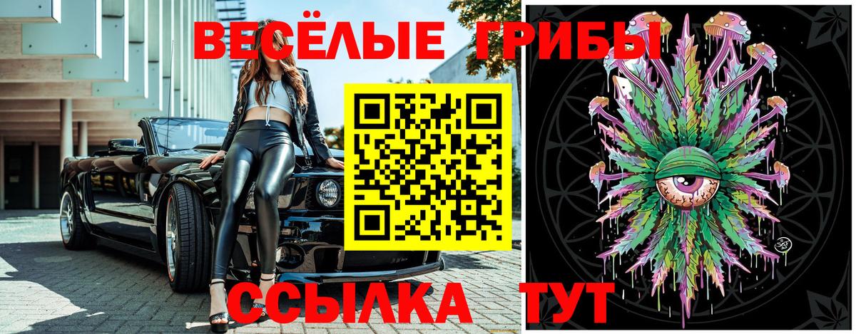 Псилоцибиновые грибы мицелий  Галлюциногенные грибы Psilocybine cubensis  Вход с VPN  Новошахтинск 