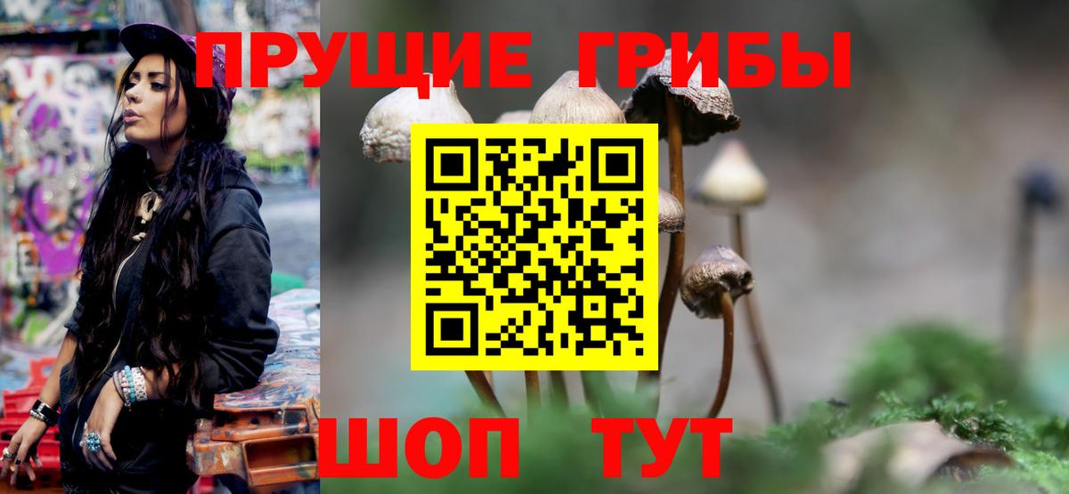 Псилоцибиновые грибы MAGIC MUSHROOMS Новошахтинск